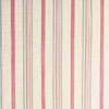 041--Classic Stripe Chintz.jpg